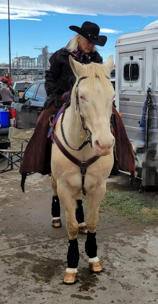 Rider in a cowboy hat on a cream-colored horse beside a horse trailer