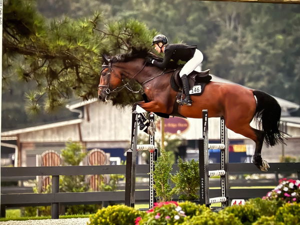 Rider on a chestnut horse clearing a jump in an outdoor ring