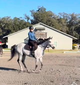 Debra H. review photo