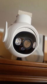 Z.F. review photo