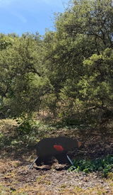 California Hunter review photo