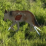 California Hunter review photo