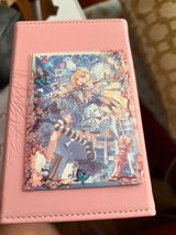 Raychu review photo