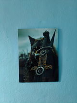 Mehmet acar review photo