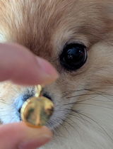 天と寿 review photo