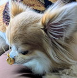 天と寿 review photo