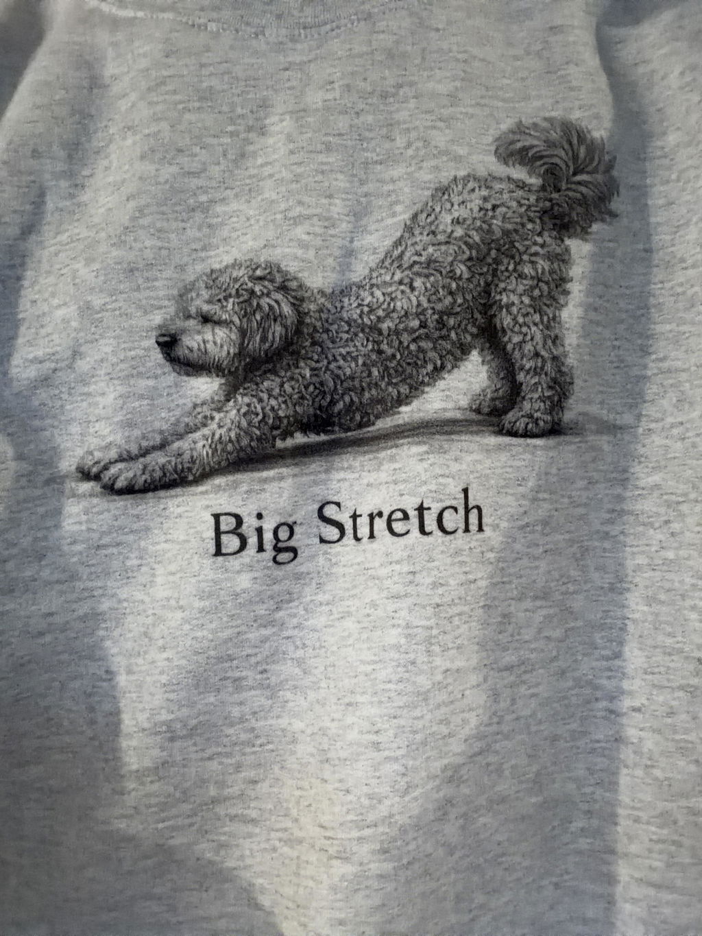 Big Stretch Goldendoodle Sweatshirt