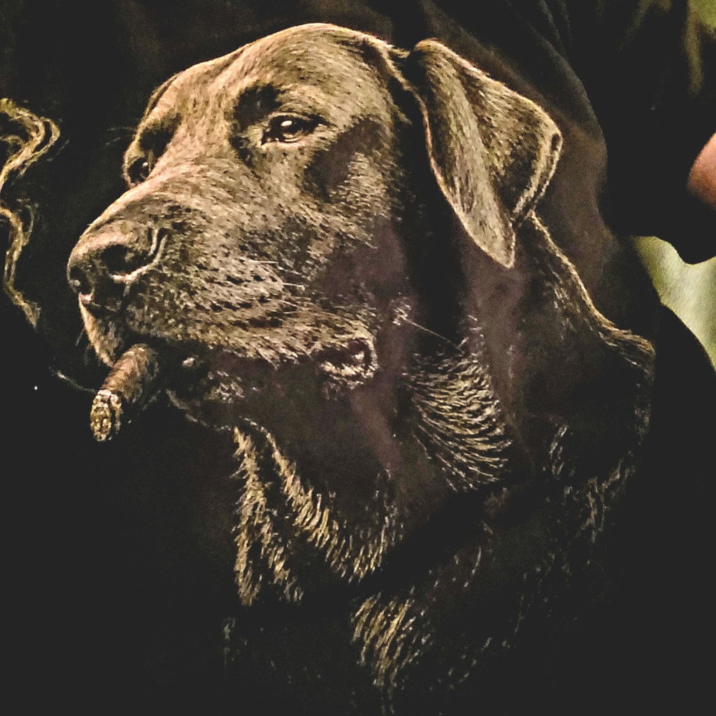 The Gentleman Chocolate Labrador Retriever T-Shirt