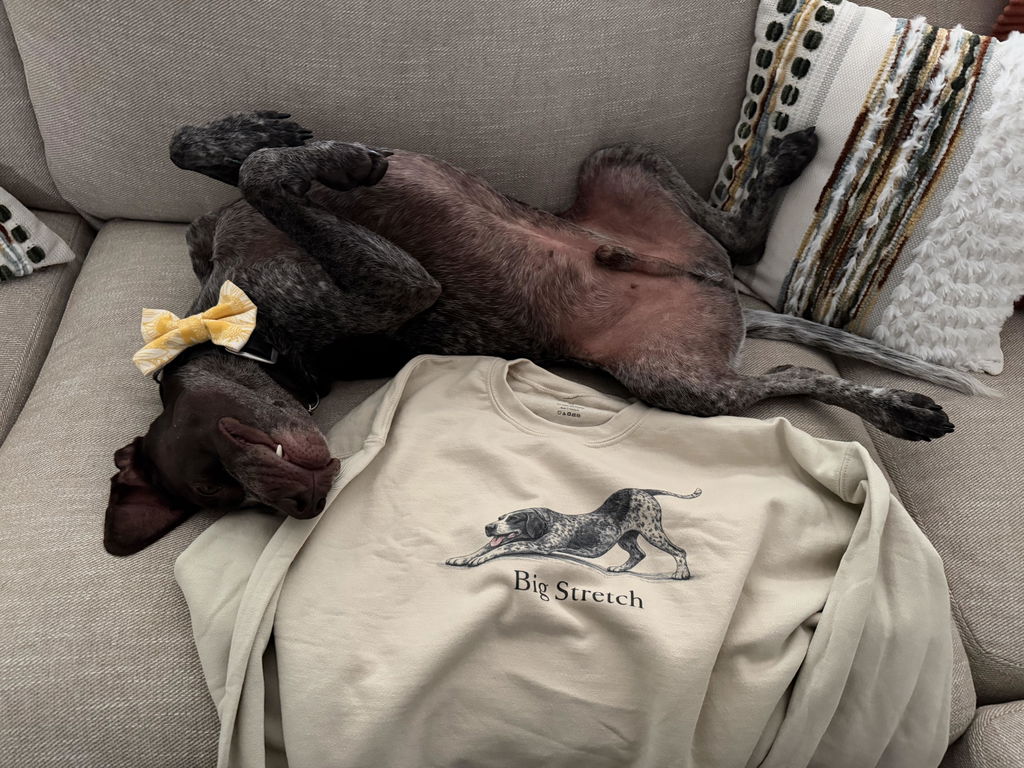 Big Stretch German Shorthaired Pointer Sweatshirt