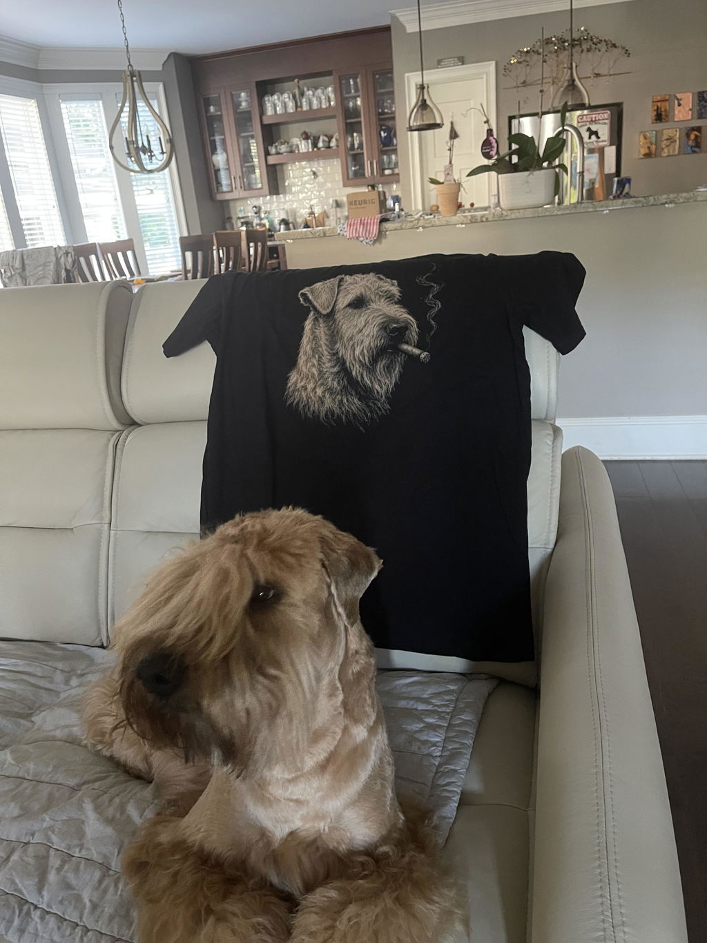 The Gentleman Wheaten Terrier T-Shirt