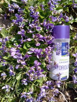 Sara N. review photo