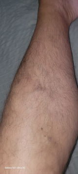 Slobodan review photo