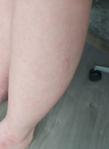София review photo