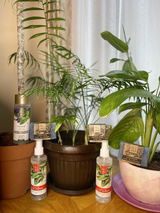 E. V. review photo