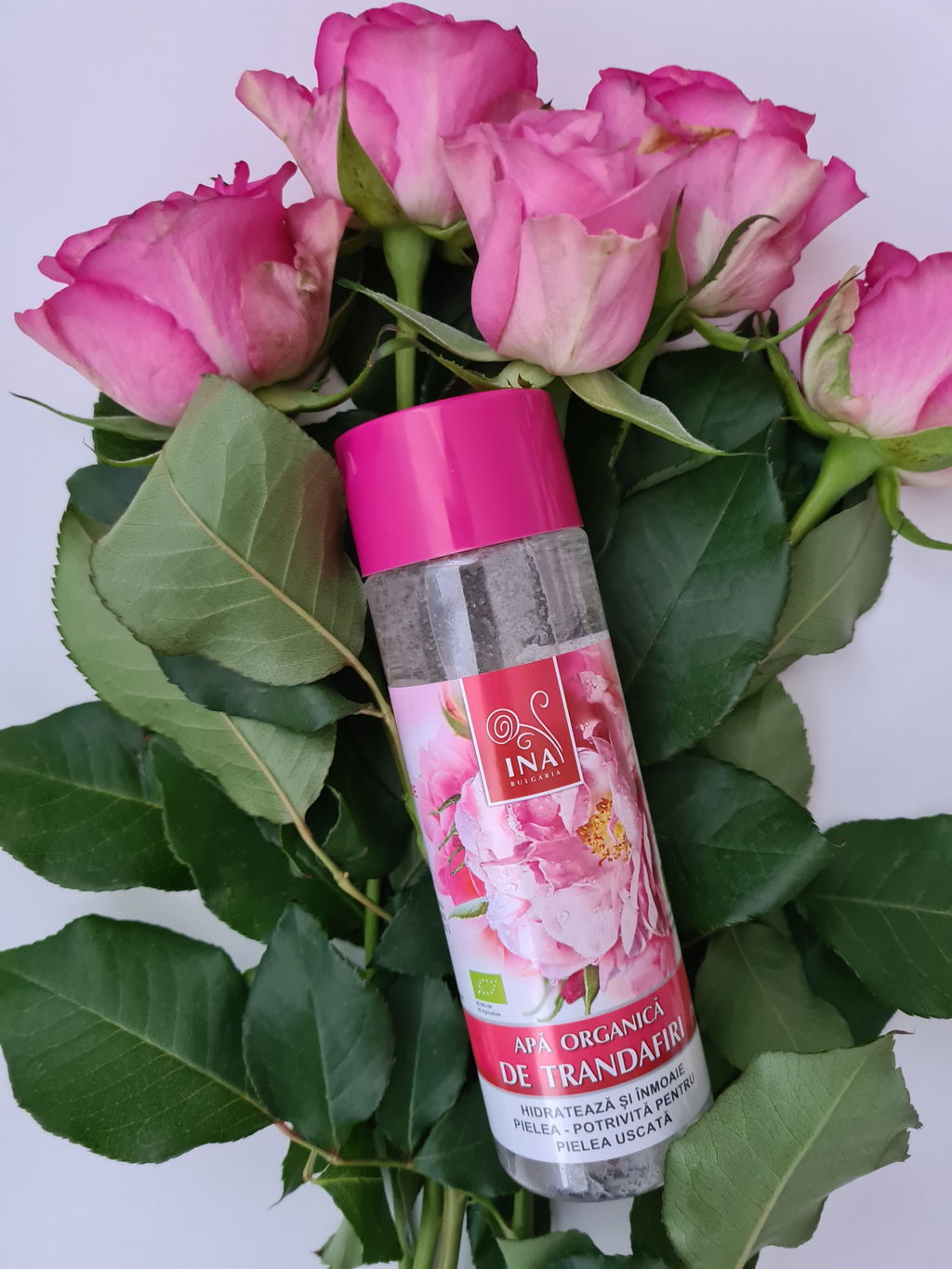 Fotografie dintr-o recenzie a unui cumpărător: Apa Organică de Trandafiri Hydrolina printre trandafiri
