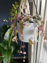 みゆき review photo