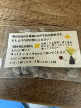 kiraasuneomwu review photo