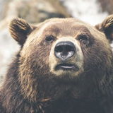Zoya Mirza review photo