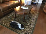 Shirley K. review photo