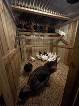 Stonetown Acres review photo