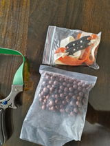 Benediet Pradeep review photo