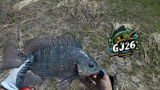 GJ26 FISHING CHANNEL review photo