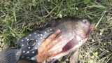 GJ26 FISHING CHANNEL review photo