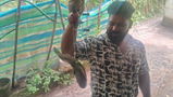 Ram Sivaram review photo