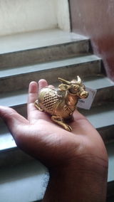 Bijaylaxmi Pattnaik review photo