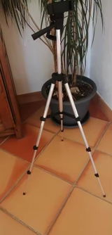 Ianis review photo