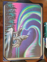 Sky Dance - Wolf Song - 1000 Piece Jigsaw Puzzle