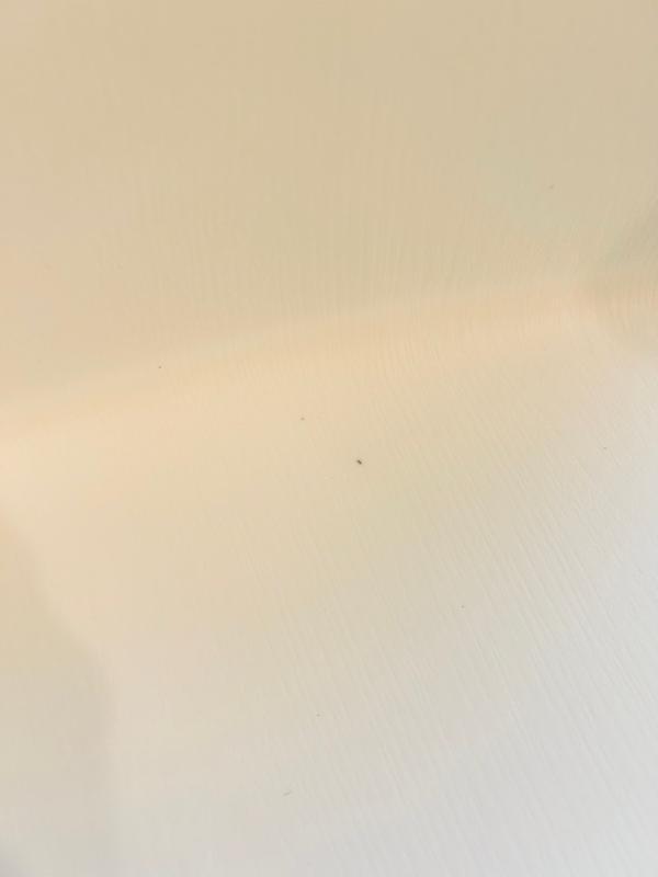 Anonymous review photo