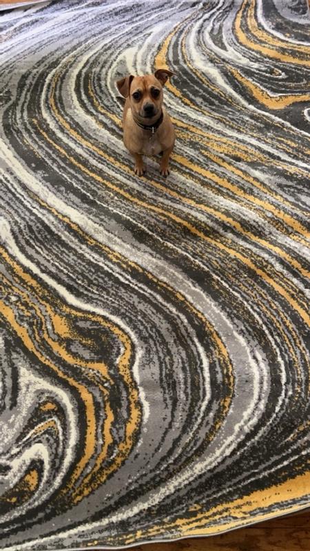 Customer photo