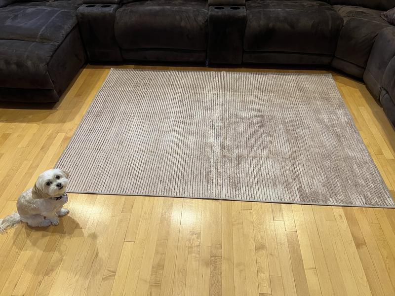 Customer photo
