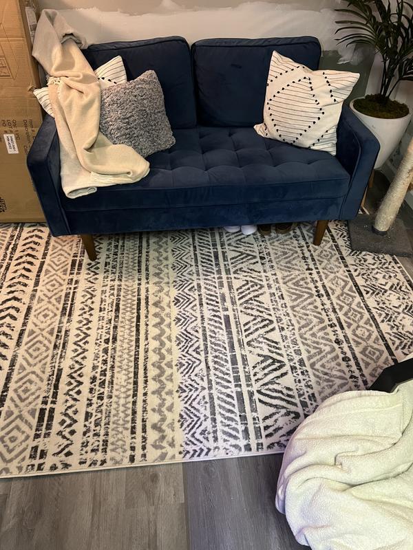 CattFan review photo