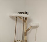 HIRANO review photo