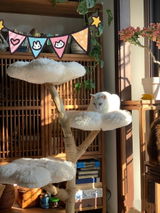 なな review photo