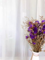 Miyu_salon review photo