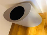 HASHIMOTO review photo