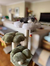 ちなみ review photo