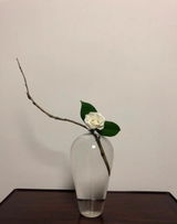 うらら review photo
