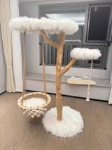 伊崎 review photo