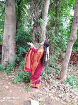 Veena Parashu review photo