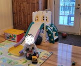 elodie pressat review photo
