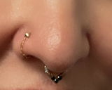 AB review photo