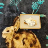 Etsy customer review photo
