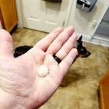 Etsy customer review photo