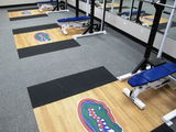 Preston - Univ of Florida review photo