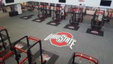 Mickey - Ohio State Univ. review photo
