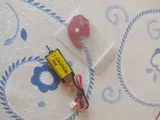 Guilherme Pinheiro review photo
